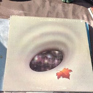 Robin Tower Vinyl Record Long Misty Days